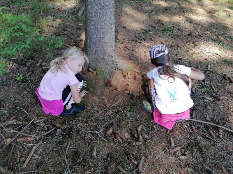 IMG_20220622_114546-171