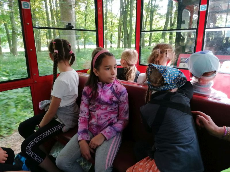 IMG_20230613_094557-06