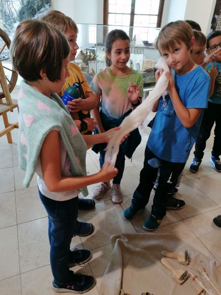 IMG_20230926_124109-03