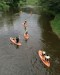 IMG_20250521_155739-18