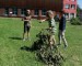 IMG_20250620_110326-02