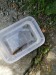 IMG_20250626_102222-05