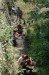 IMG_20250626_103435-13